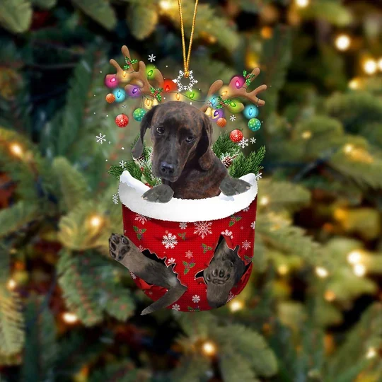 Plott Hound In Snow Pocket Christmas Ornament trabladzer