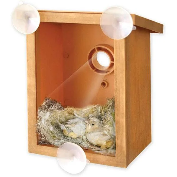 DIY Sucker Bird Nest