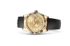Rolex 326238 Sky-Dweller Champagne-Colour - New
