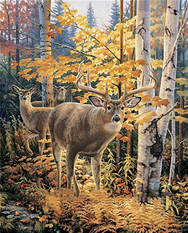 

Autumn Forest Deers – Paint By Numbers - 40*50CM, 501 Original
