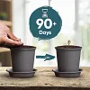 Gardening Planting Coffee Seeds Flower Pot Kit Grow Your Own Coffee