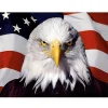 American Flag Eagle  | Full Round Diamond Painting Kits