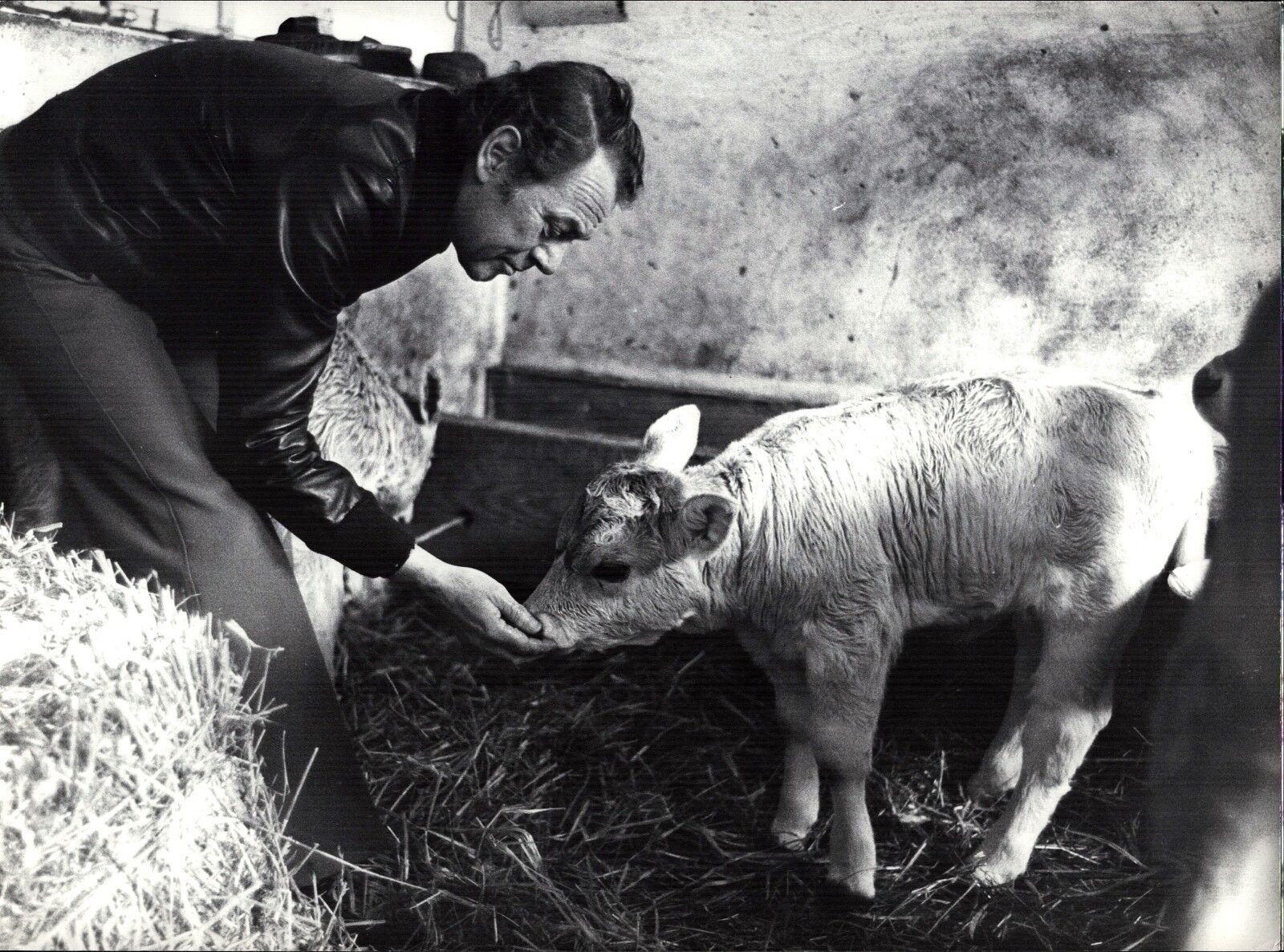 Bert Kaempfert - Vintage Press Photo Poster painting Norbert Unfried (U-3312