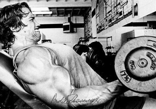 ARNOLD SCHWARZENEGGER - BODYBUILDING GYM 3 - SIGNED Photo Poster painting POSTER -  POST