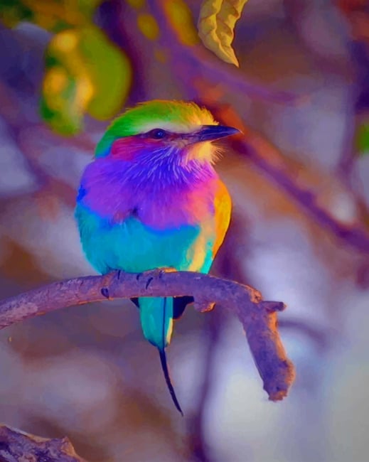 

Colorful Bird – Paint By Numbers - 40*50CM, 501 Original