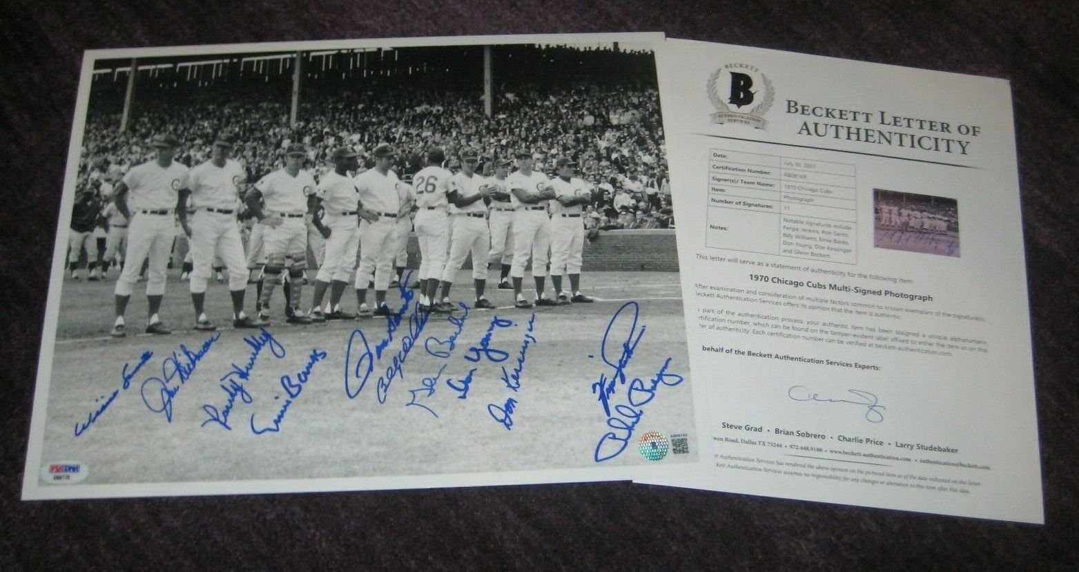 1969 CUBS Signed 11x14 Photo Poster painting w/ Beckett LOA 11 Sigs Banks, Santo, Jenkins, Young
