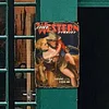 Western - Vintage Metal Signs - 20*30cm/30*40cm - Western