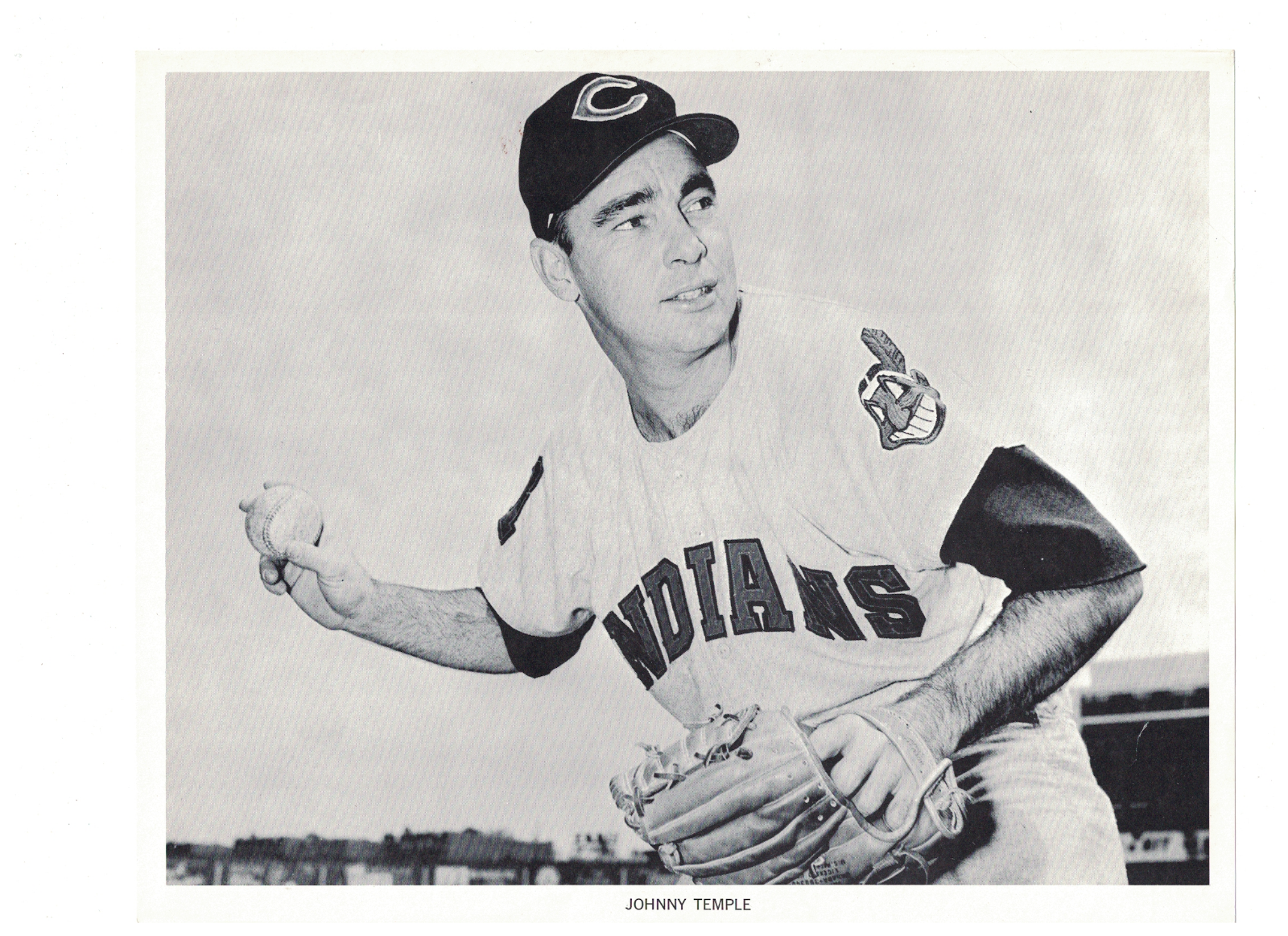 Johnny Temple Cleveland Indians 8x10 Manny's Baseball Land Paper Photo Poster painting RH2