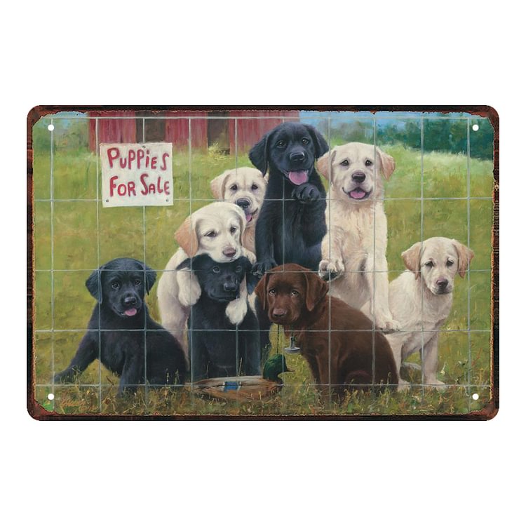 Puppies For Sale - Vintage Tin Signs/Wooden Signs - 7.9x11.8in & 11.8x15.7in