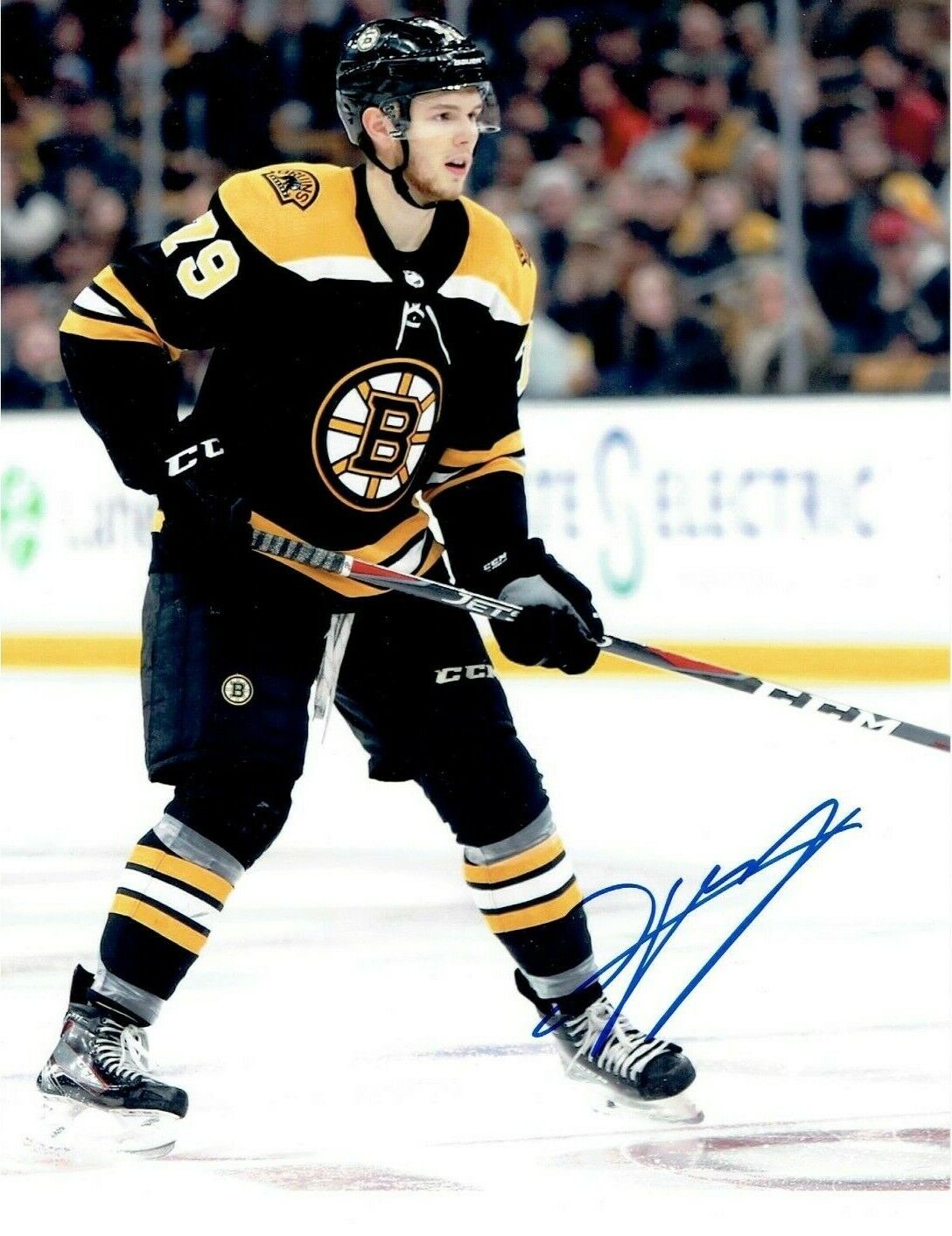 JEREMY LAUZON autographed SIGNED BOSTON BRUINS 8x10 Photo Poster painting