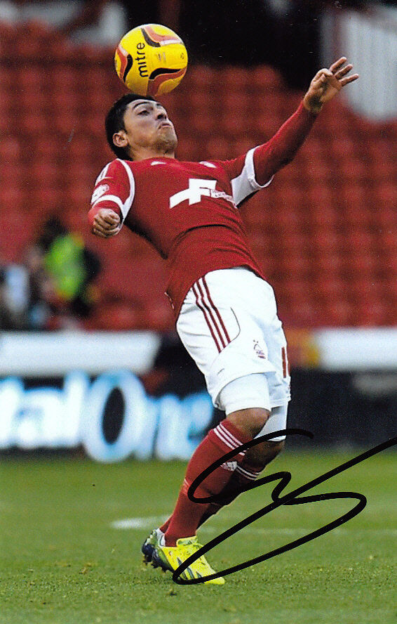 NOTTINGHAM FOREST HAND SIGNED GONZALO JARA 6X4 Photo Poster painting.