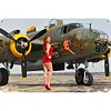 World War II Bomber - Metal Tin Signs(8*12Inch/12*16Inch)