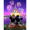 Cross Stitch Kits 11CT Stamped DIY Cartoon Mouse Full Embroider Needlework