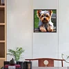 Diamond Painting-DIY Full Round Drill Dog
