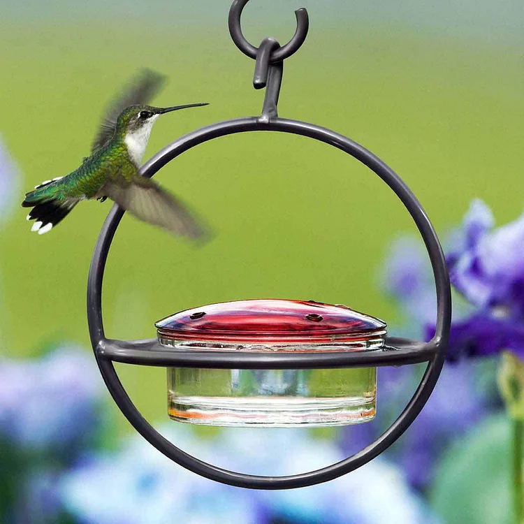 Hummble Slim Hummingbird Feeder