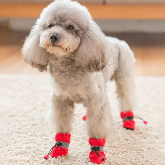 Musedesire™ DOG SHOES