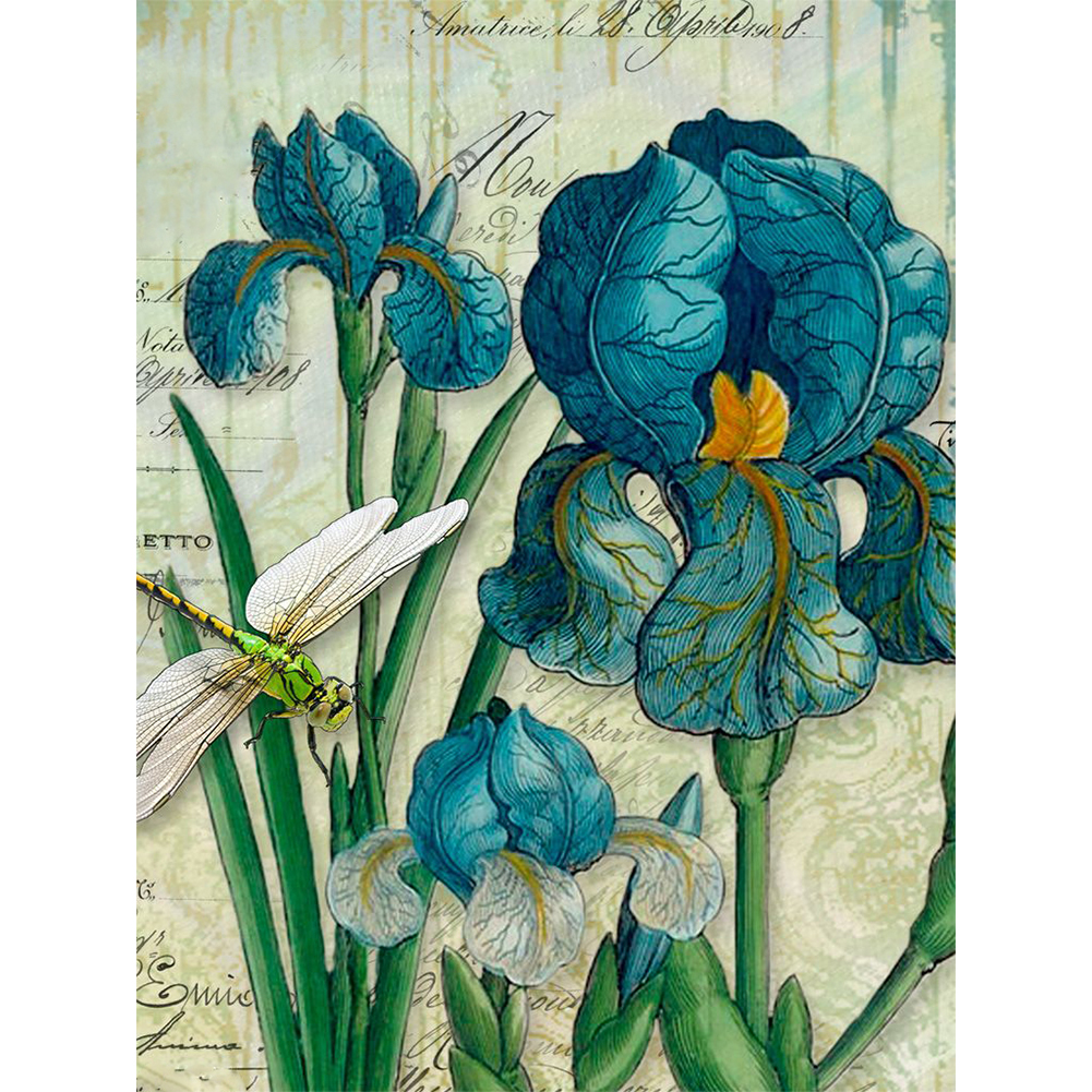 

Iris - Round Drill Diamond Painting - 30*40CM, 501 Original