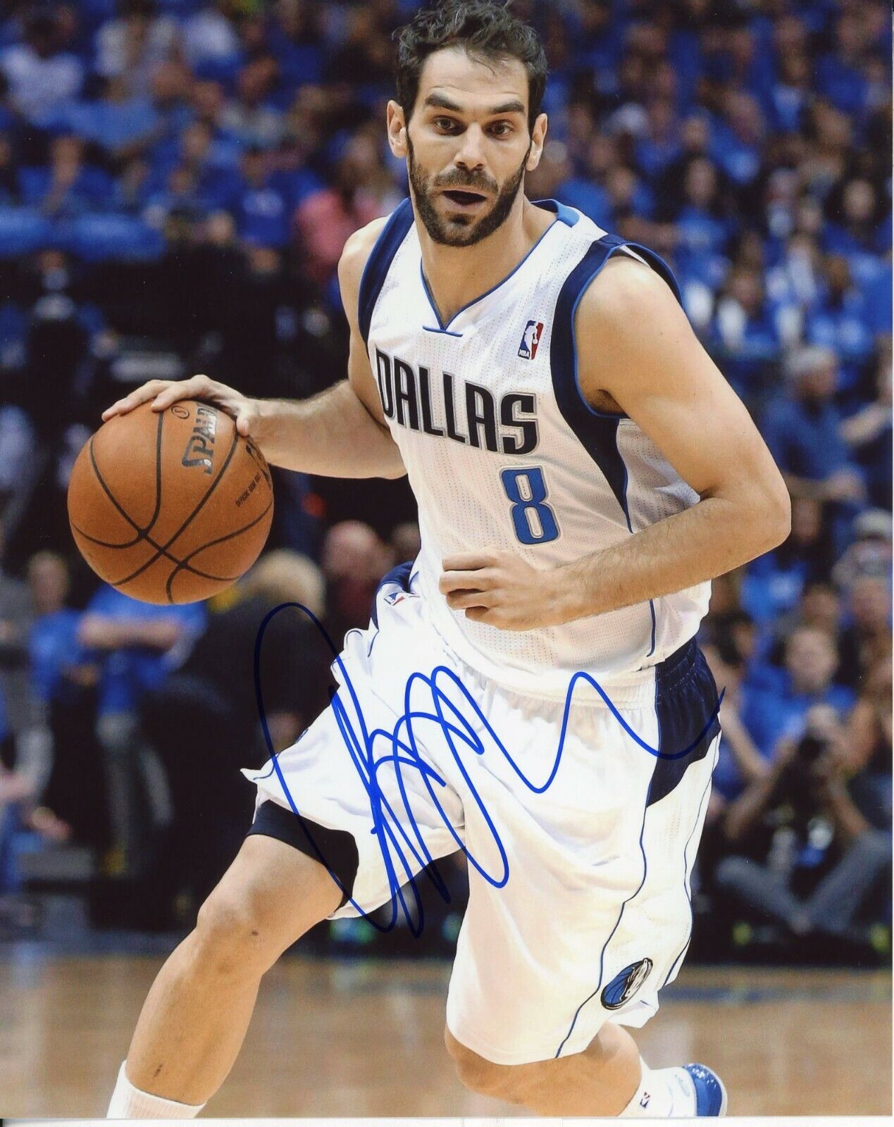 Jose Calderon Autographed 8x10 Dallas Mavericks#S1378