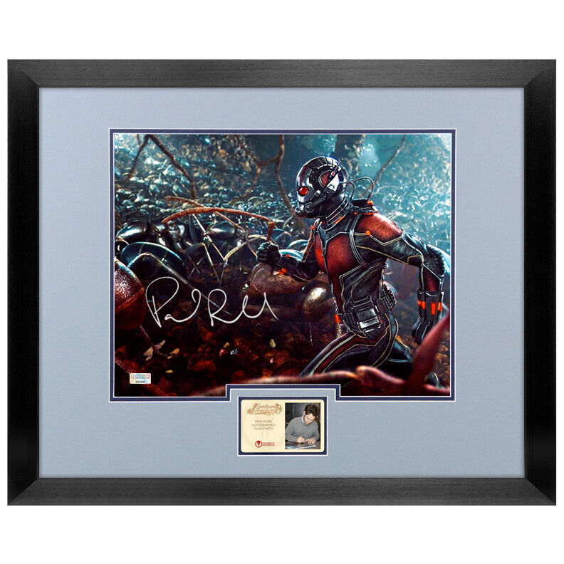 Paul Rudd Autographed Ant-Man Colony 11x14 Framed Photo Poster painting