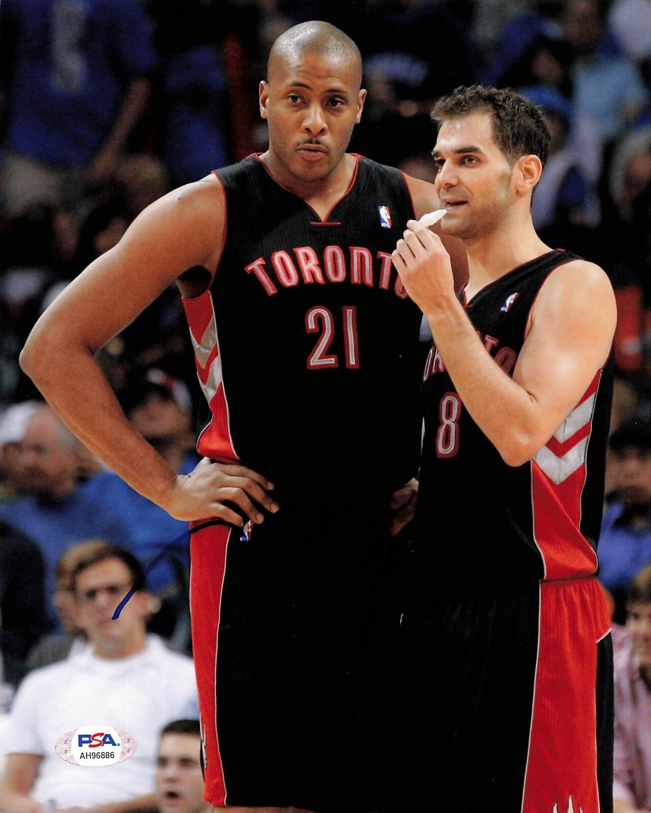 JAMAAL MAGLOIRE Signed 8x10 Photo Poster painting PSA/DNA Toronto Raptors Autographed