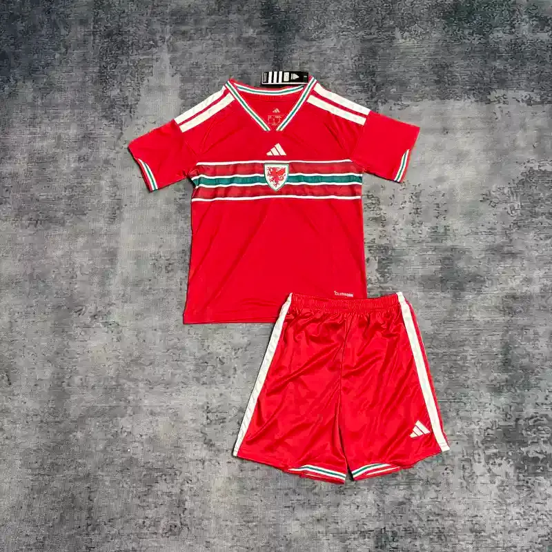 2026 Kids Wales Soccer Jersey Home 1:1 Thai Quality