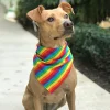 Pet Dog Scarf Bandana Washable Rainbow Saliva