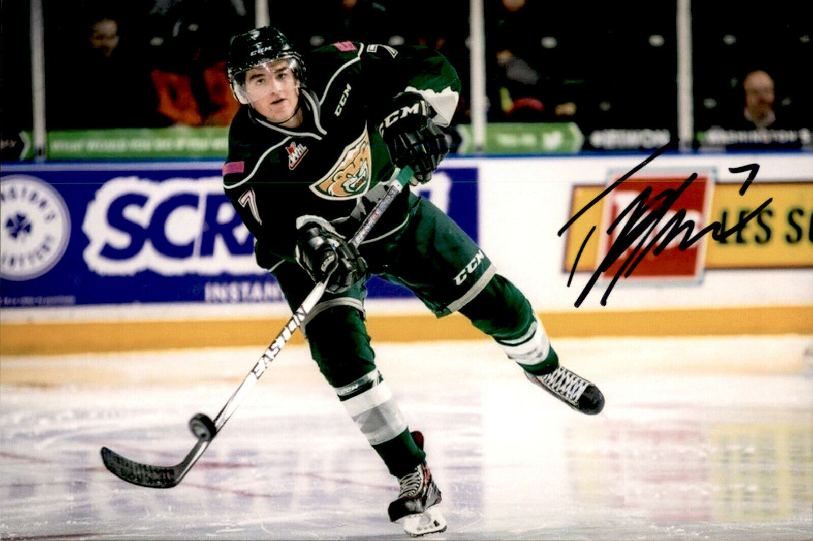 Tristen Pfeifer SIGNED 4x6 Photo Poster painting EVERETT SILVERTIPS #2