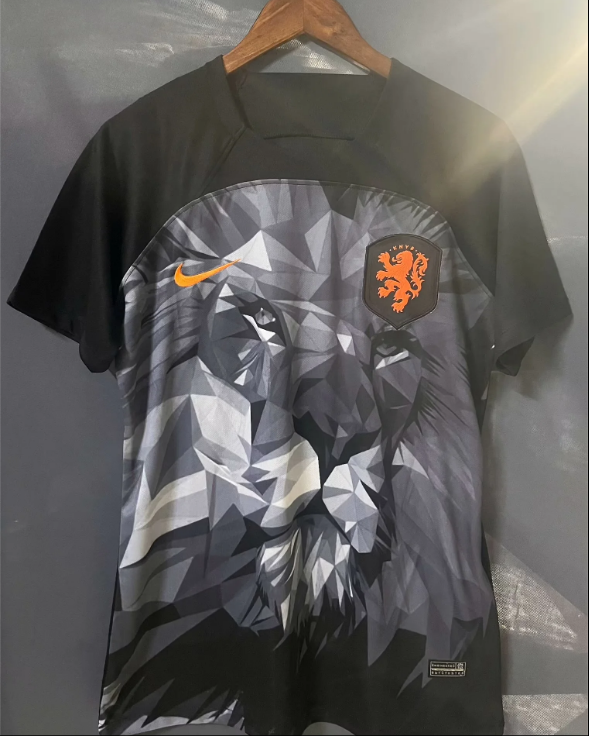 2024 Netherlands Special Edition Football Shirt Thai Quality