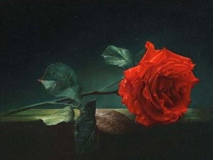 

Red Rose on Wall – Paint By Numbers - 40*50CM, 501 Original
