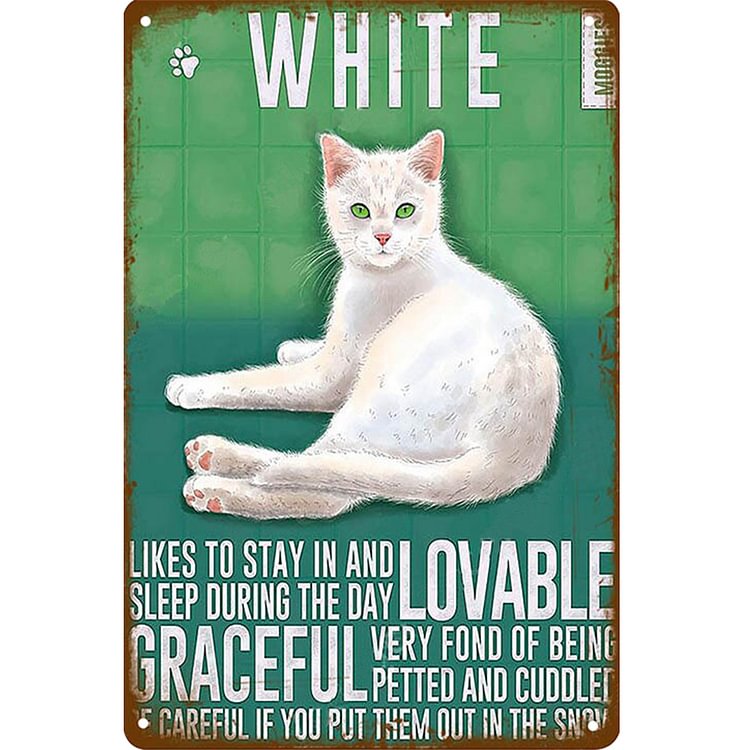 White Cat - Vintage Tin Signs/Wooden Signs - 7.9x11.8in & 11.8x15.7in
