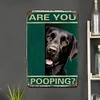 Funny"Are You Pooping Cat" - Vintage Metal Signs(12*16Inch) - Cat