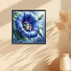 uk.everydayedeals Diamond Painting - Full Round - Hummingbird