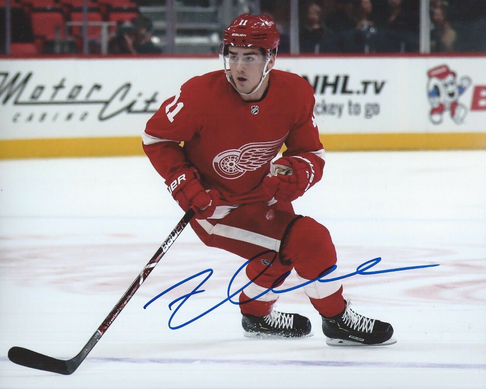 Filip Zadina Signed 8x10 Photo Poster painting Detroit Red Wings Autographed COA E