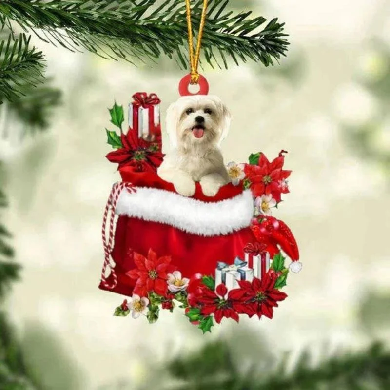 VigorDaily Maltese In Gift Bag Christmas Ornament GB061