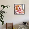 Diamond Painting -DIY Full Round Drill Cute Cat(40*40 CM)