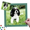 uk.everydayedeals Custom Diamond Painting Kits