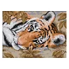 (Counted/Stamped) 14CT Tiger Lying Down - Cross Stitch 29*21cm/11.42*8.27in(Brand)