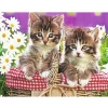 Cats  | Full Round Diamond Painting Kits
