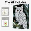 (30x40cm)DIY Pearl Painting Framed Owl  Handmade Pearl Material Art Kit Living Room Decor