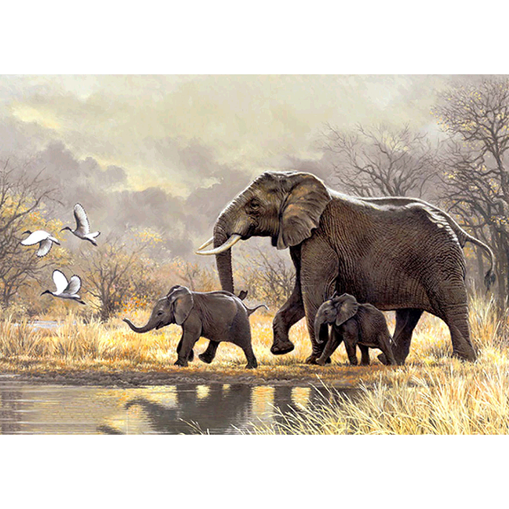 

40*30CM - Square Drill Diamond Painting - Elephant Family, 501 Original