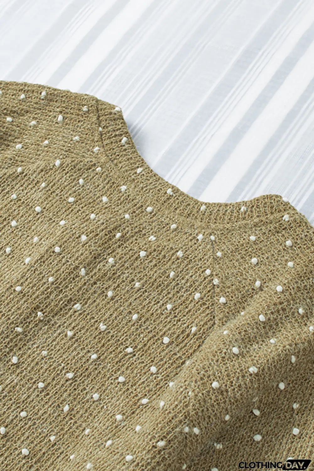 Swiss Dot Raglan Sleeves Knit Top