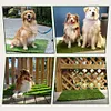 Last Day For Clearance-💥Dog Grass Pee Pads
