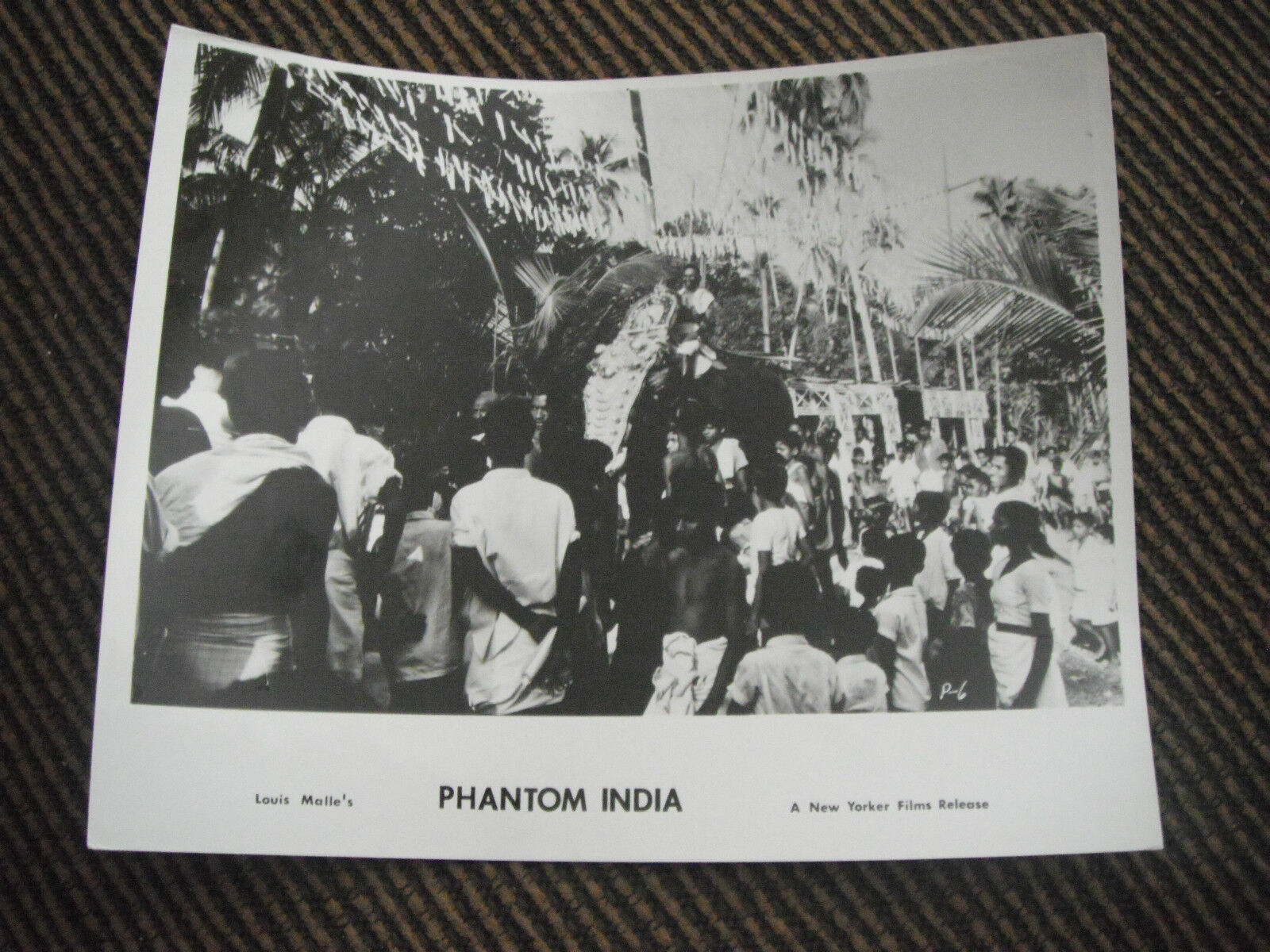 Phantom India Louis Malle's 1959 TV Series B&W Artist 8x10 Promo Photo Poster painting Original