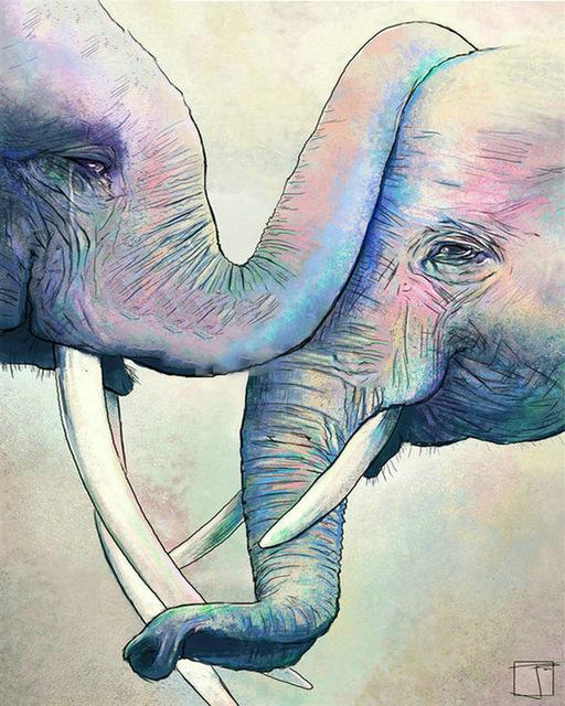 

Elephants Greeting – Paint By Numbers - 40*50CM, 501 Original