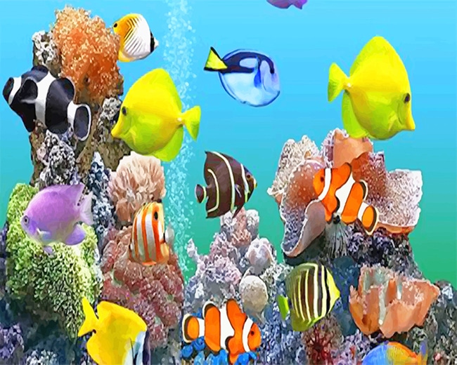 

Colorful Fishes Deep Sea – Paint By Numbers - 40*50CM, 501 Original