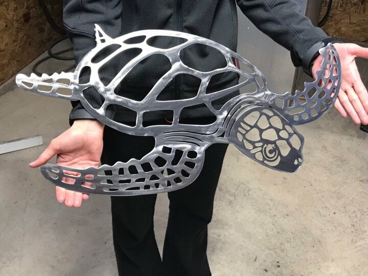 🐢Metal sea turtle 