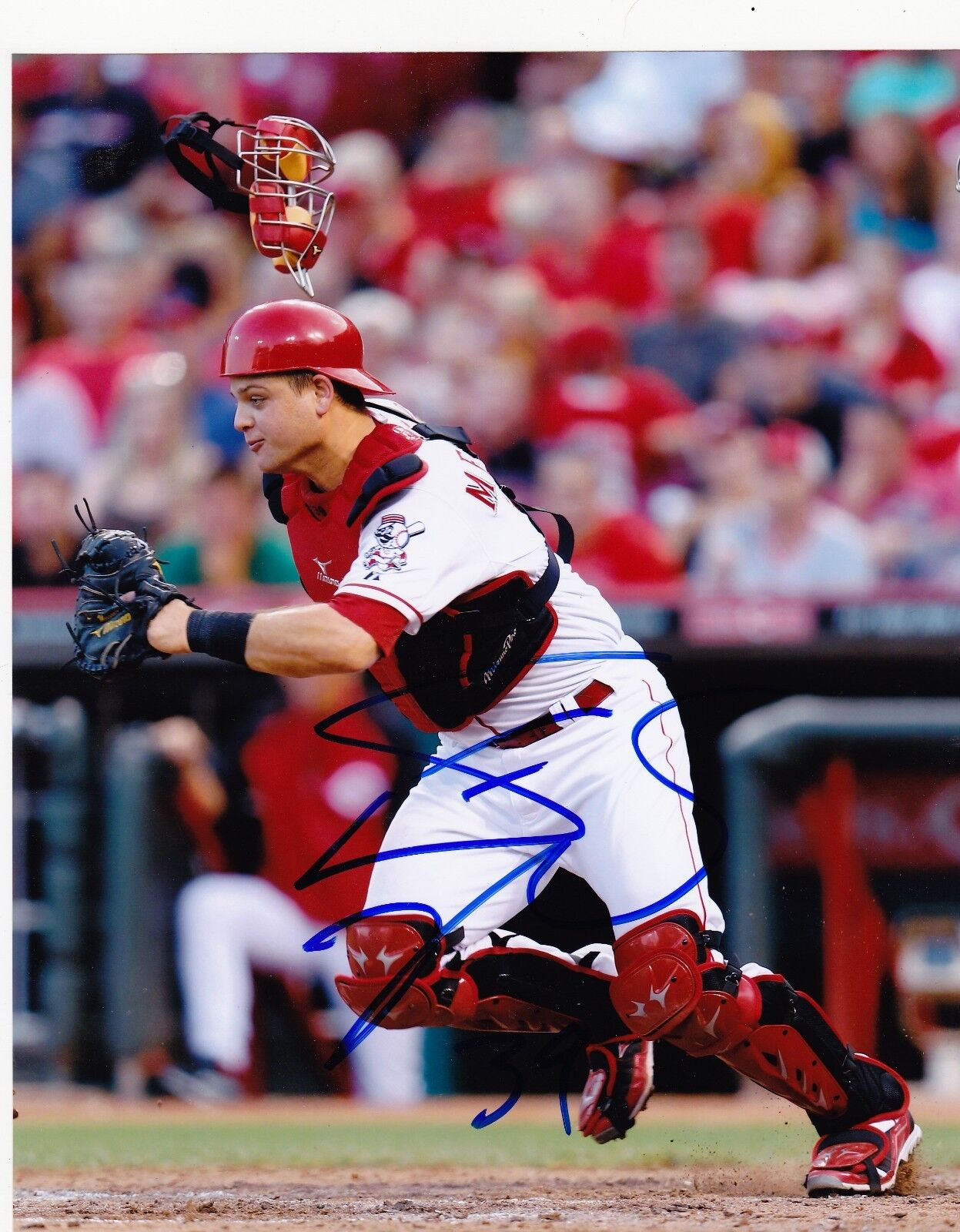 DEVIN MESORACO CINCINNATI REDS ACTION SIGNED 8x10