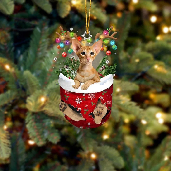 Oriental Shorthair Cat In Snow Pocket Christmas Ornament.