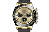 Rolex 116518LN Daytona Champagne-colour and Black - New