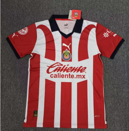 23/24 Chivas Home Home Football Shirt Thai Quality